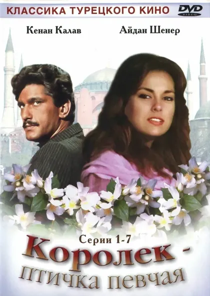 Постер Королёк – птичка певчаяÇ